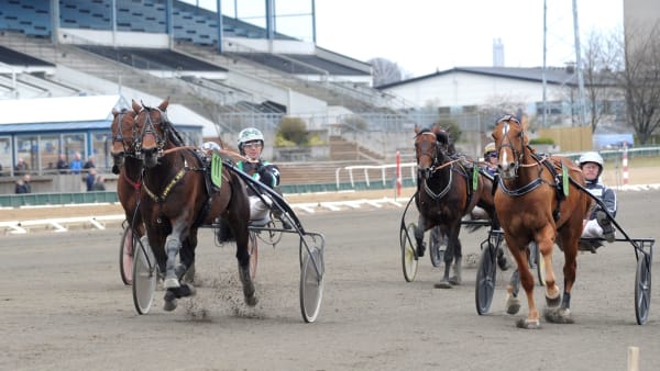 Foto: JÖRGEN TUFVESSON/ALN