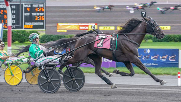 Foto: THOMAS BLOMQVIST / TR BILD