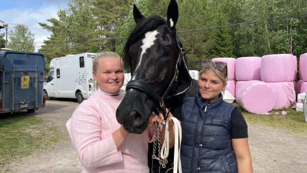 Foto: RICHARD HJELLSTRÖM / TRAVRONDEN