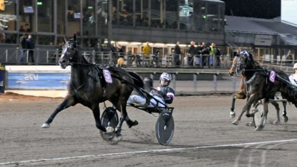 Foto: GÖRAN LINDSKOG/SIDMAKARN