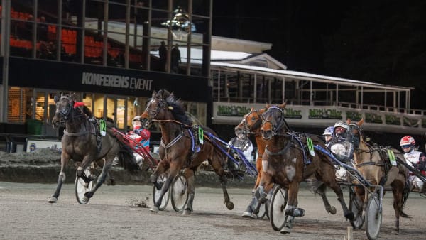 Foto: DAVID SCHREINER / TR BILD