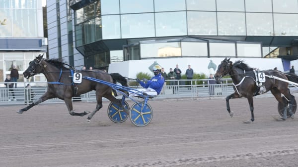 Foto: LARS JAKOBSSON / TR BILD