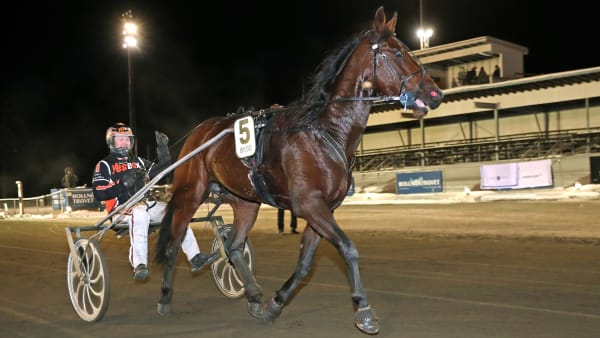 Foto: MARIA HOLMÉN / TR BILD