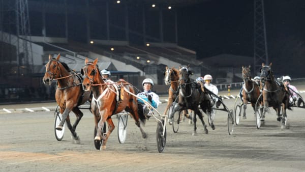 Foto: JÖRGEN TUFVESSON/ALN