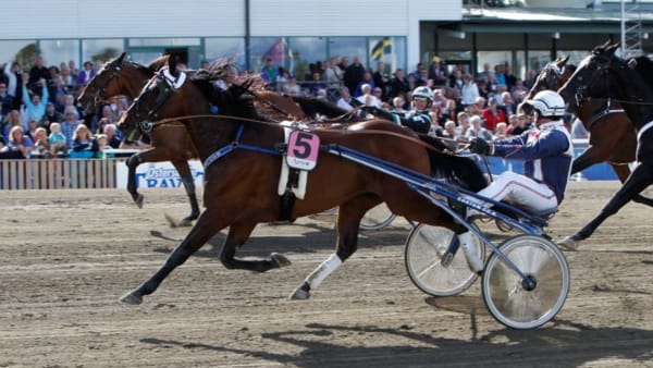 Foto: DAN HÄLLGREN/ALN