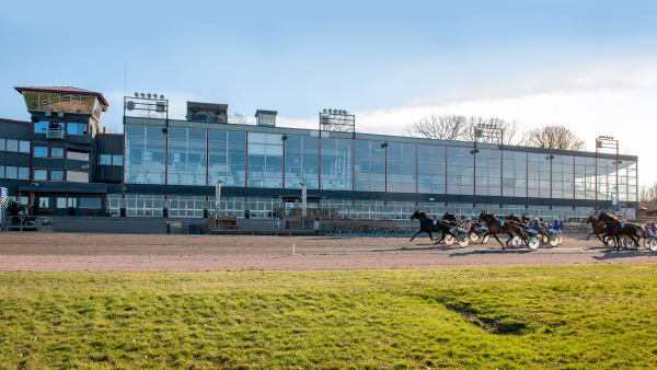 Foto: MIKAEL ROSENQUIST / TR BILD