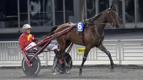 Foto: LARS JAKOBSSON / TR BILD