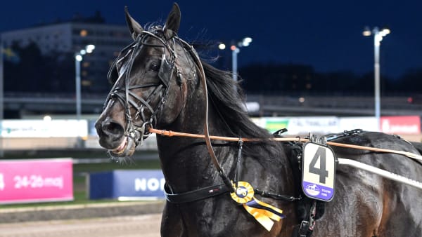 Foto: LARS JAKOBSSON / TR BILD