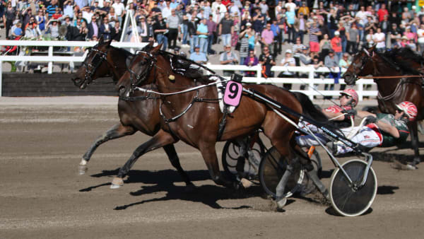 Foto:  Lotta Kosonen/Hippos