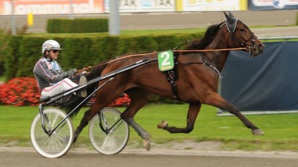 Foto: MICKE GUSTAFSSON/ALN