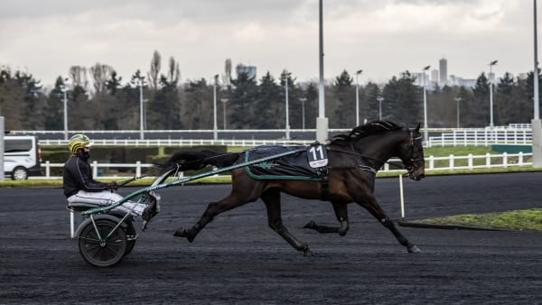 Foto: BRUNO VANDEVELDE/LE TROT