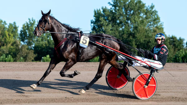 Foto: MIKAEL ROSENQUIST / TR BILD