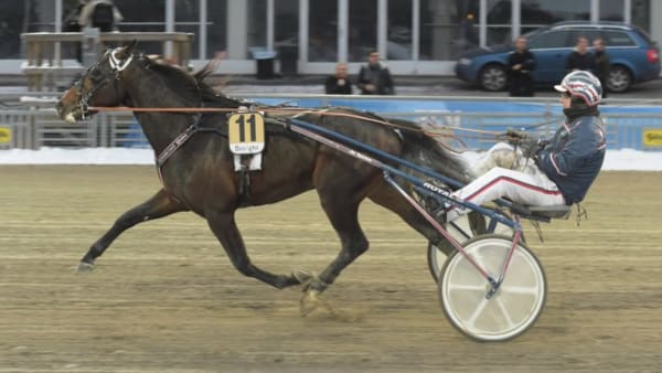 Foto: LEIF NORBERG/ALN