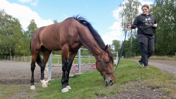 Foto: LARS JAKOBSSON/TR BILD