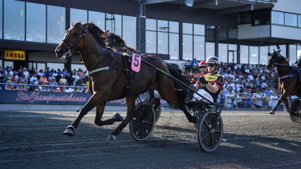 Foto: MALIN ALBINSSON / TR BILD