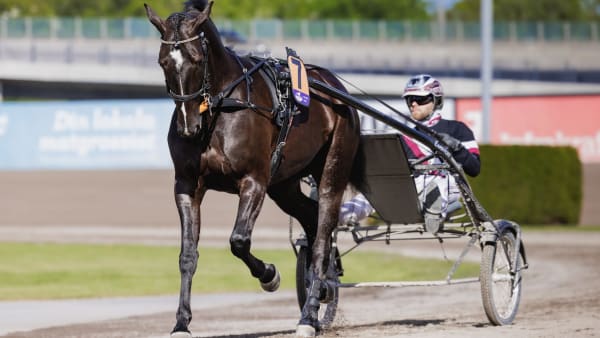 Foto: LENA EMMOTH / TR BILD