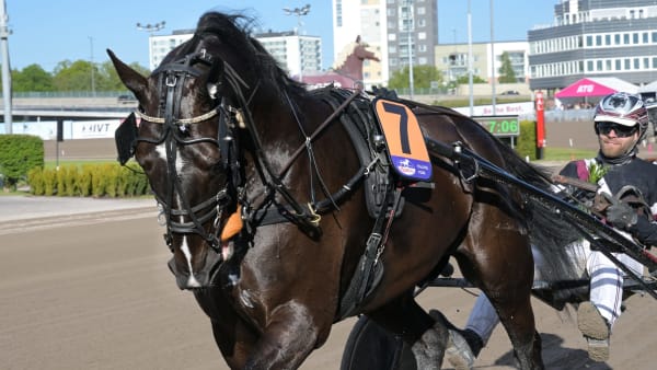 Foto: LARS JAKOBSSON / TR BILD