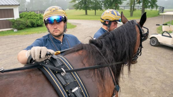 Foto: Thomas Blomqvist/TR Bild