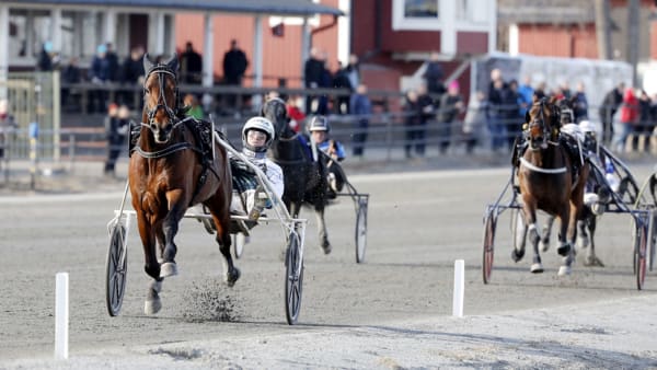 Foto: Micke Gustafsson/ALN