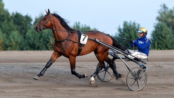 Foto: MIKAEL ROSENQUIST / TR BILD