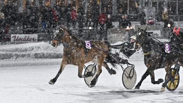 Foto: JENNY REHNMAN / TR BILD