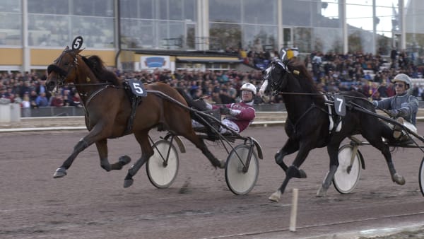 Foto: LARS JAKOBSSON/TR BILD