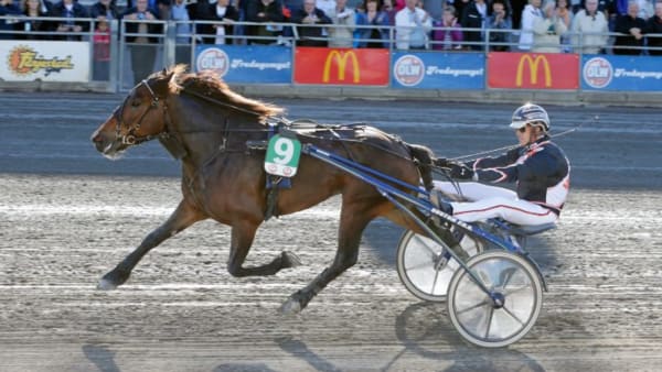 Foto: URBAN KIHLMAN/ALN