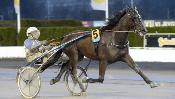 Foto: LARS JAKOBSSON / TR BILD