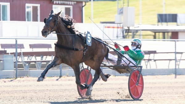 Foto: MIKAEL ROSENQUIST / TR BILD