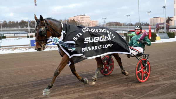 Foto: LARS JAKOBSSON / TR BILD