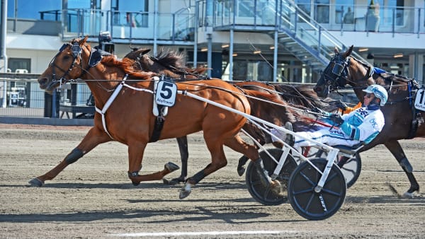 Foto: MALIN ALBINSSON / TR BILD