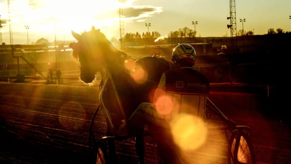 Foto: LARS JAKOBSSON / TR BILD