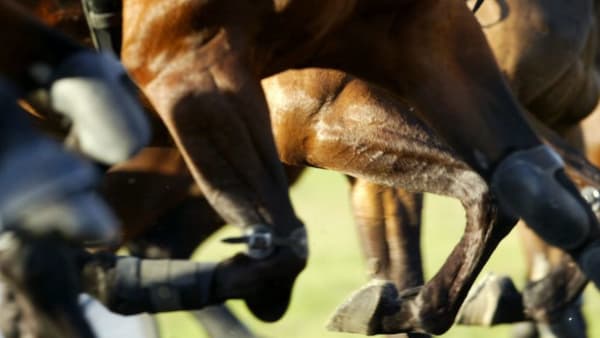 Foto: Mia Törnberg/TR Bild