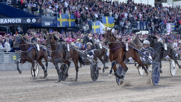 Foto: LARS JAKOBSSON / TR BILD