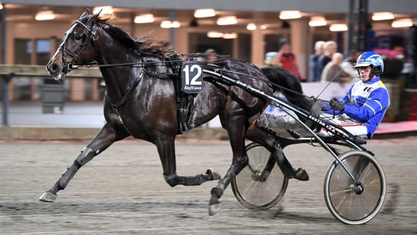 Foto: MALIN ALBINSSON / TR BILD