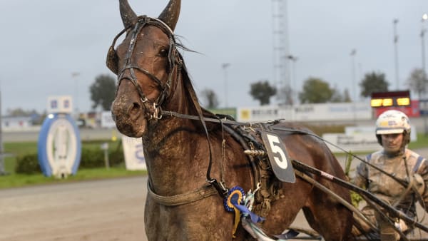 Foto: LARS JAKOBSSON / TR BILD