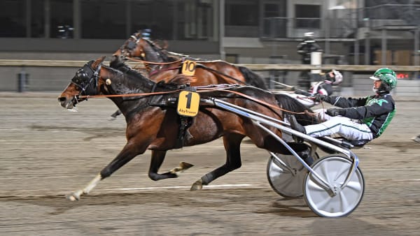 Foto: MALIN ALBINSSON / TR BILD