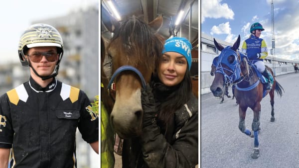 Foto: ANNIKA NIKLASSON ADOLFSSON/ALN & PRIVA