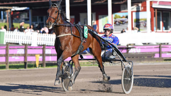 Foto: MALIN ALBINSSON / TR BILD