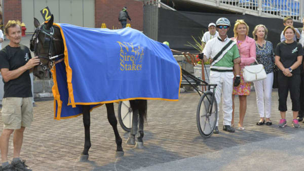 Foto: Stefan Melander/stalltz.se