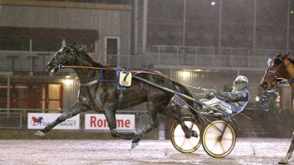 Foto: MARIA HOLMÉN / TR BILD