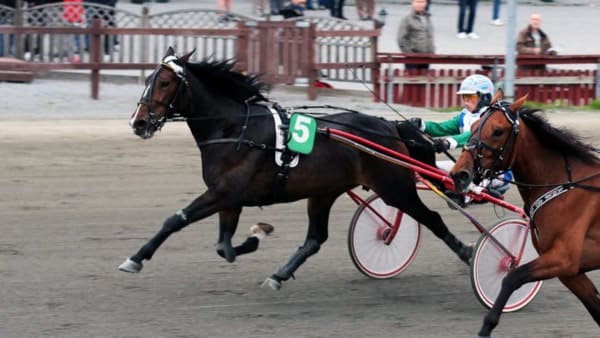 Foto: BERTH MAGNUSSON/FINISH