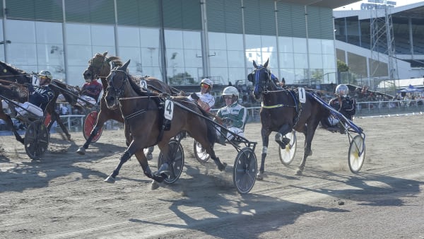 Foto: LARS JAKOBSSON / TR BILD