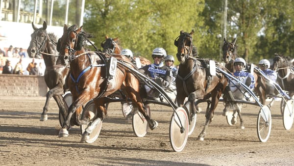 Foto: MICKE GUSTAFSSON/ALN