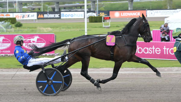 Foto: LARS JAKOBSSON / TR BILD