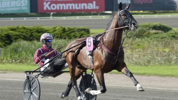 Foto: Lars Jakobsson/TR Bild