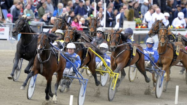 Foto: MARTIN LANGELS/ALN