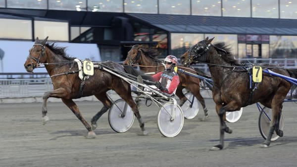 Foto: LARS JAKOBSSON / TR BILD