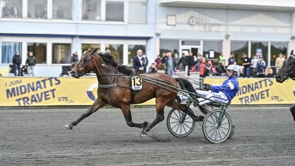 Foto: JENNY REHNMAN / TR BILD