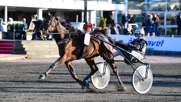 Foto: MALIN ALBINSSON / TR BILD